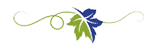 SVCC_LeafDivider Green and blue leaf icon with vine